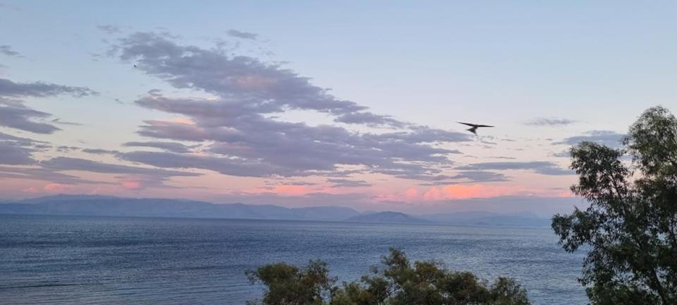 Ionian Mare Aparthotel Agios Ioannis Peristeron  Exterior photo